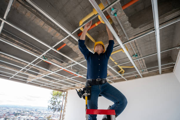 Best Emergency Plumber  in Perry, MI