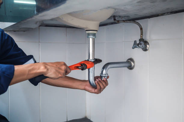 Best Plumbing Services Near Me  in Perry, MI
