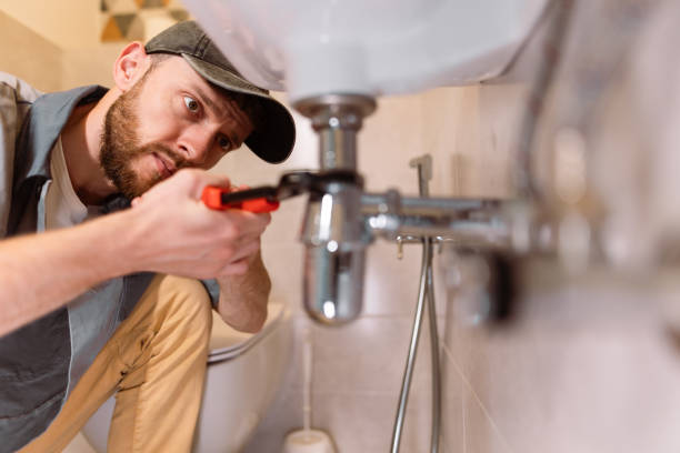 Best Septic Systems  in Perry, MI